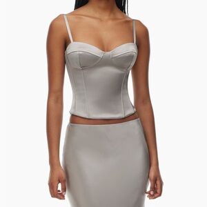 Aritzia|Ten| Dazzle Satin Bustier